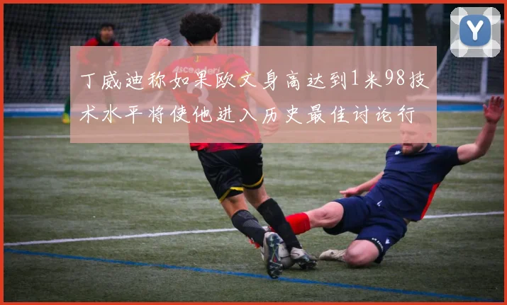 丁威迪称如果欧文身高达到1米98技术水平将使他进入历史最佳讨论行列
