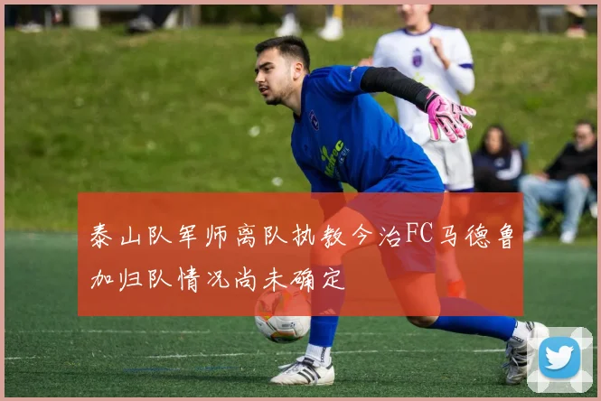 泰山队军师离队执教今治FC马德鲁加归队情况尚未确定